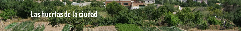 Huertas de la ciudad