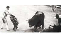 Ganaderos de la tierra
