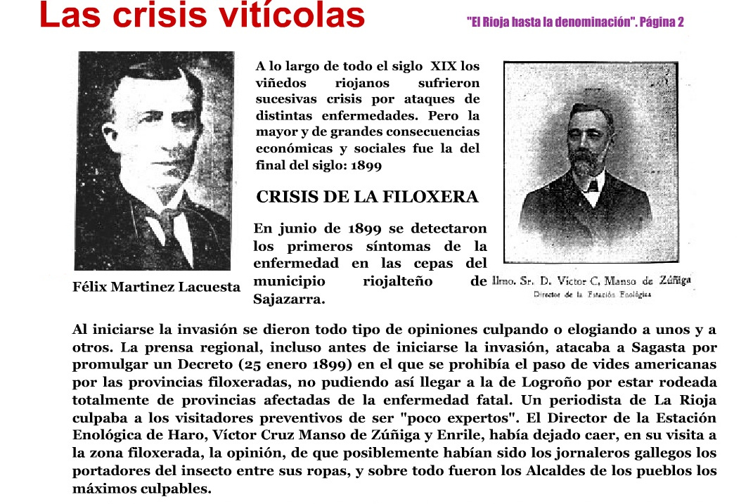 Bergasa