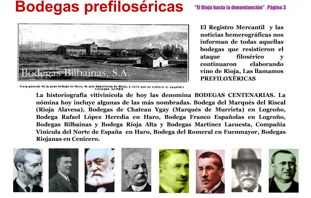 Bergasa