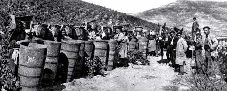 La vendimia riojana